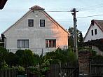 Třibřichy